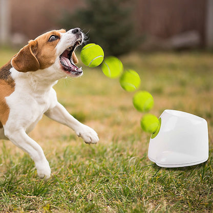 Dog Ball Launcher Thrower Automatic Tennis Fetch Throwing Machine 3 Balls